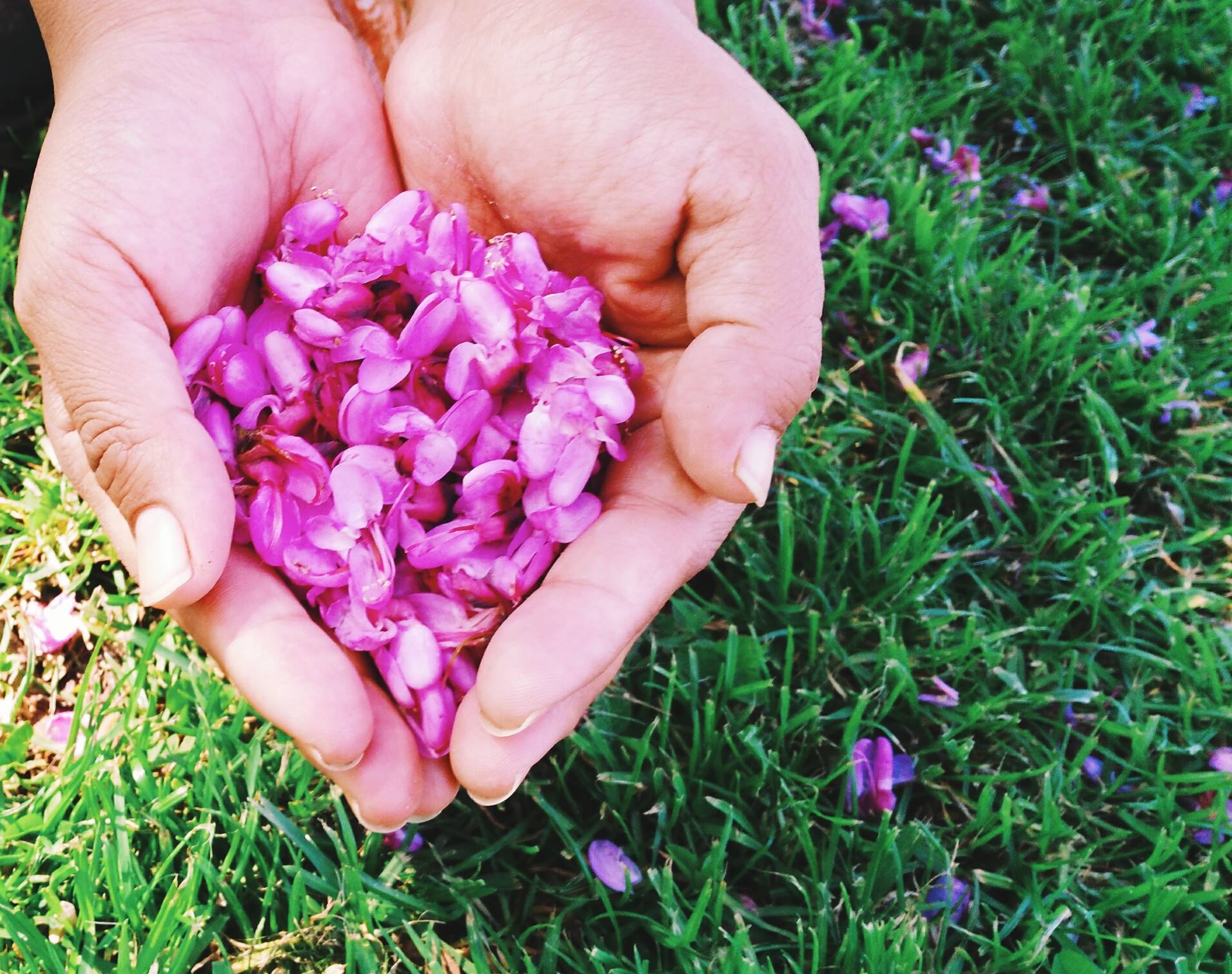 17504405_10212156419081730_3261751677501771734_o