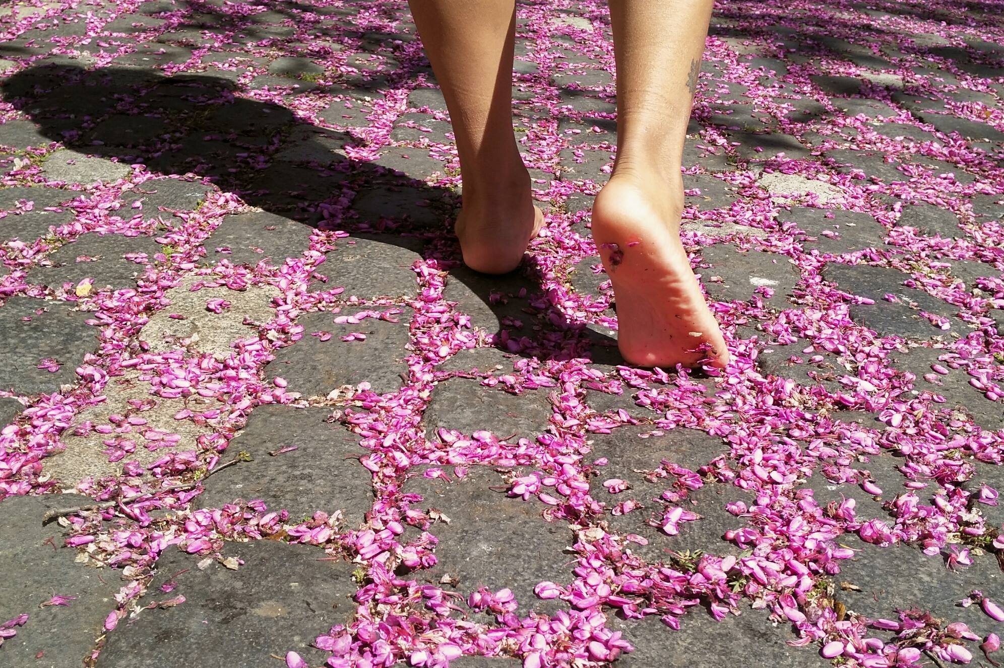 17636910_10212156507363937_2736496952536947231_o