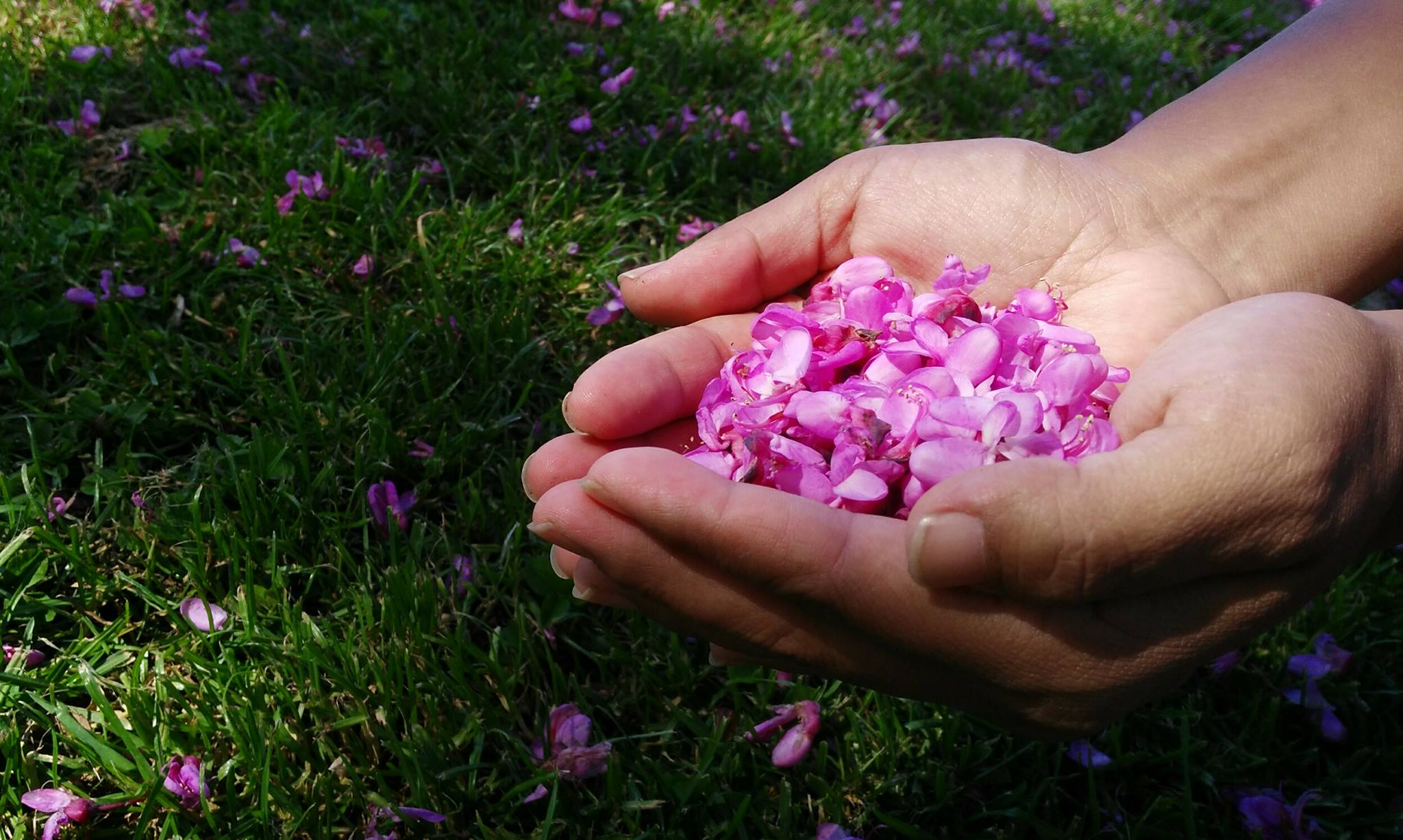 17758237_10212156420601768_794079412504966901_o