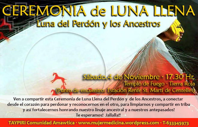 lunallenanoviembre