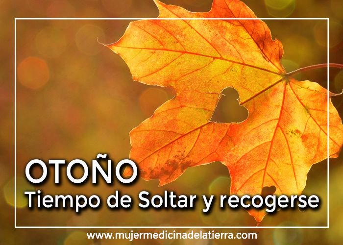 Otoño, tiempo de soltar y&nbsp;recogerse