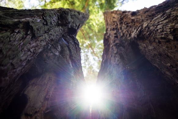 Un día vas a parirte a ti&nbsp;misma