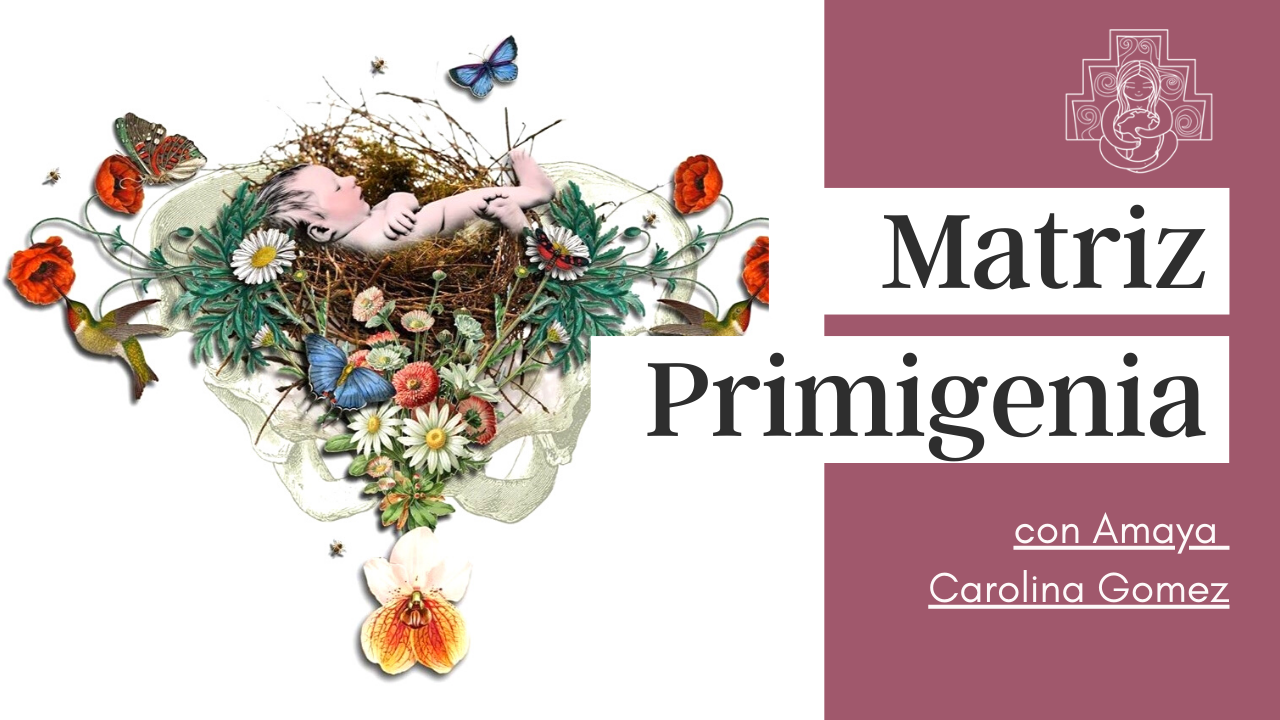 [video] ¿Qué es la Matriz Primigenia?