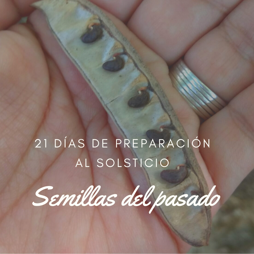 Las semillas del pasado (dÍA 1)