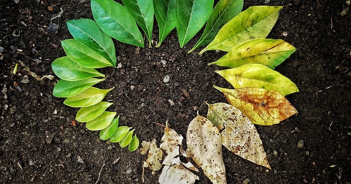 ¿Cómo afrontar los cambios que te trae la&nbsp;vida?