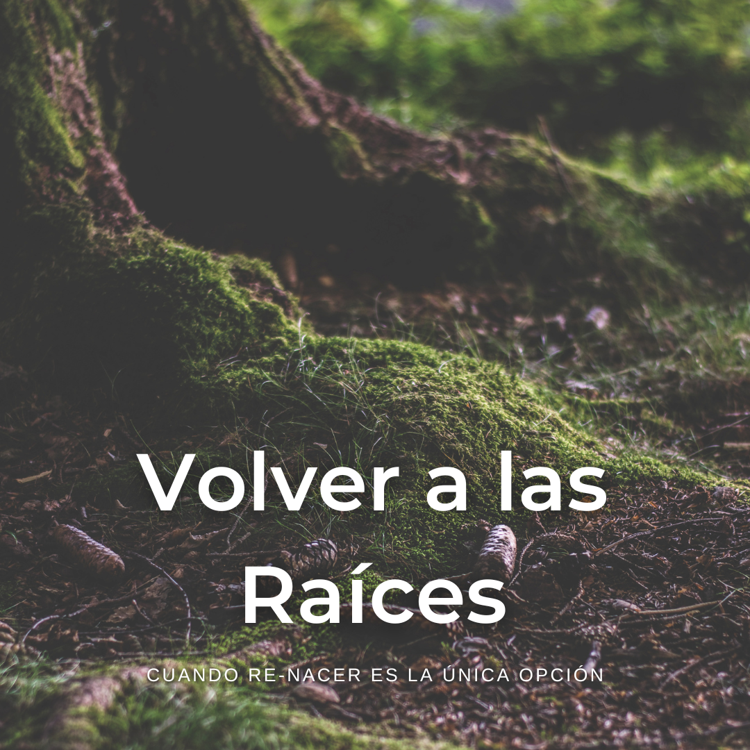 Volver a las Raíces